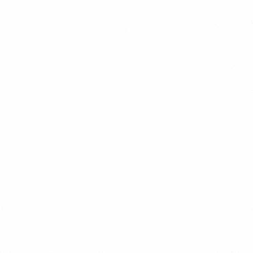 logo img